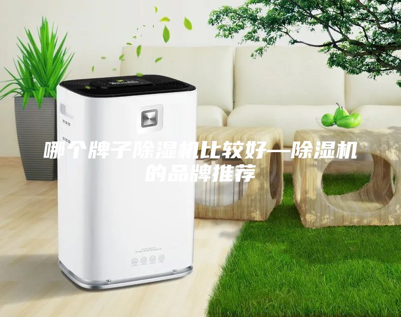 哪个牌子除湿机比较好—除湿机的品牌推荐