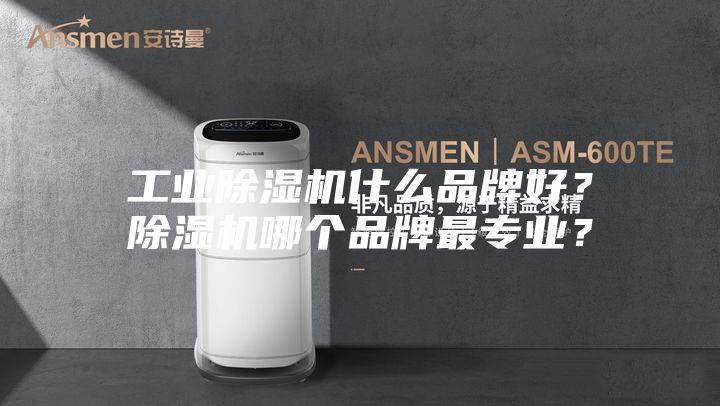 工业除湿机什么品牌好？除湿机哪个品牌最专业？