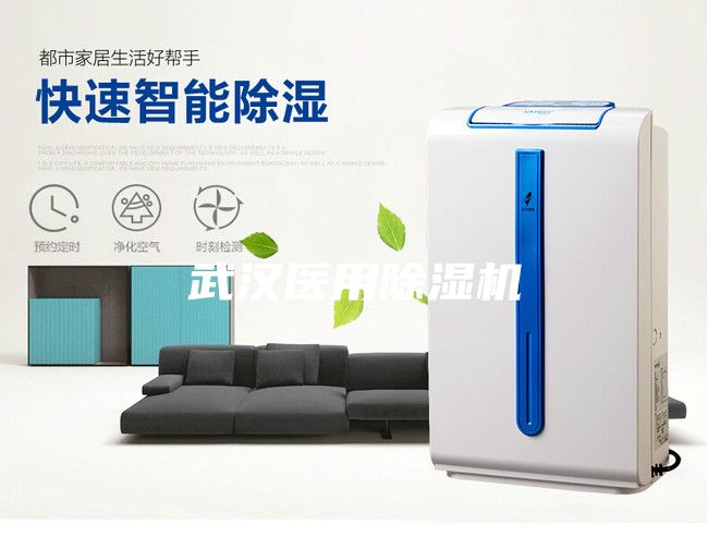 武汉医用除湿机