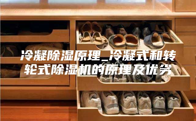 冷凝除湿原理_冷凝式和转轮式除湿机的原理及优劣
