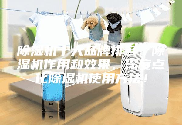 除湿机十大品牌排名，除湿机作用和效果，深度点化除湿机使用方法！