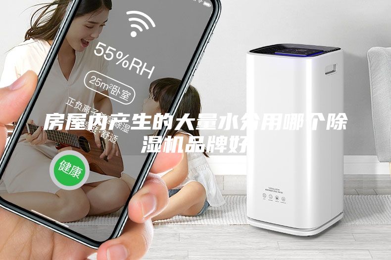 房屋内产生的大量水分用哪个除湿机品牌好