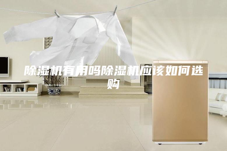 除湿机有用吗除湿机应该如何选购