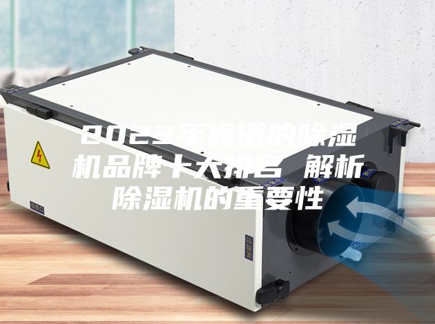 2023年靠谱的除湿机品牌十大排名 解析除湿机的重要性