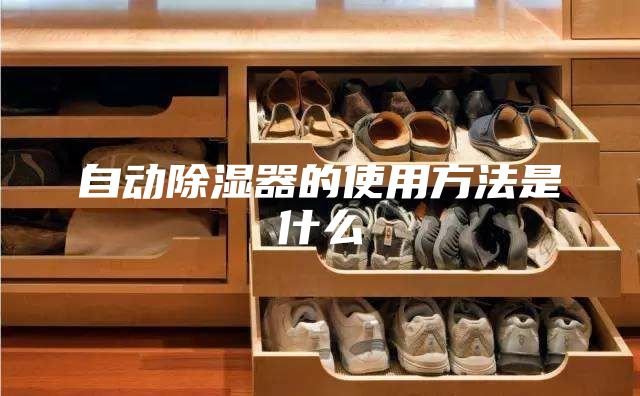 自动除湿器的使用方法是什么