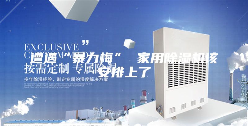 遭遇“暴力梅” 家用除湿机该安排上了