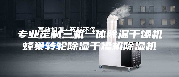 专业定制三机一体除湿干燥机蜂巢转轮除湿干燥机除湿机