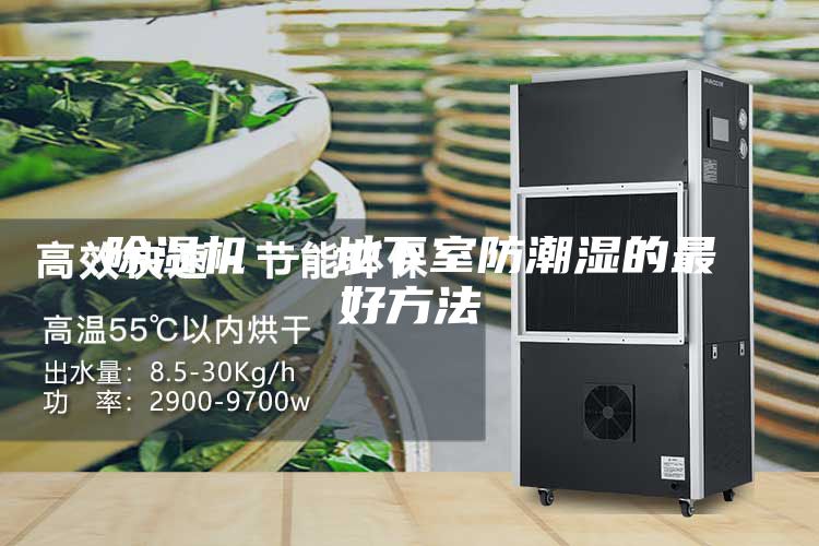 除湿机 - 地下室防潮湿的最好方法