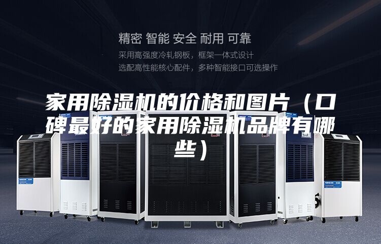 家用除湿机的价格和图片（口碑最好的家用除湿机品牌有哪些）
