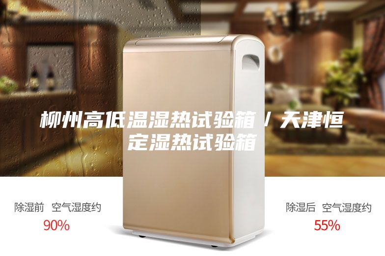 柳州高低温湿热试验箱／天津恒定湿热试验箱