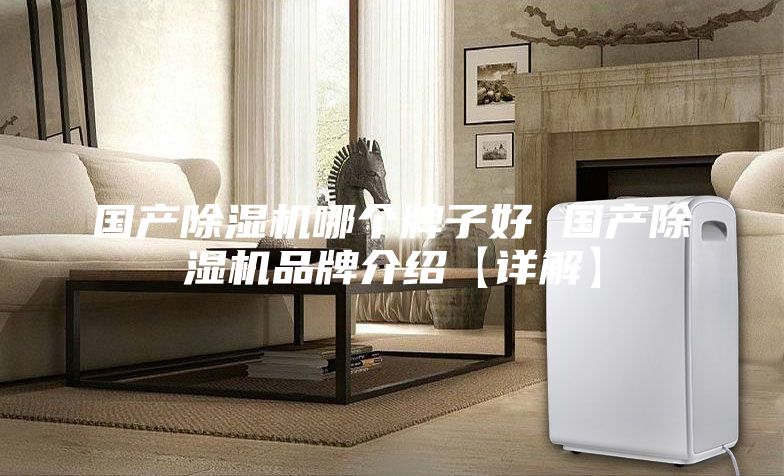 国产除湿机哪个牌子好 国产除湿机品牌介绍【详解】