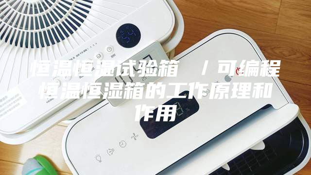 恒温恒湿试验箱 ／可编程恒温恒湿箱的工作原理和作用