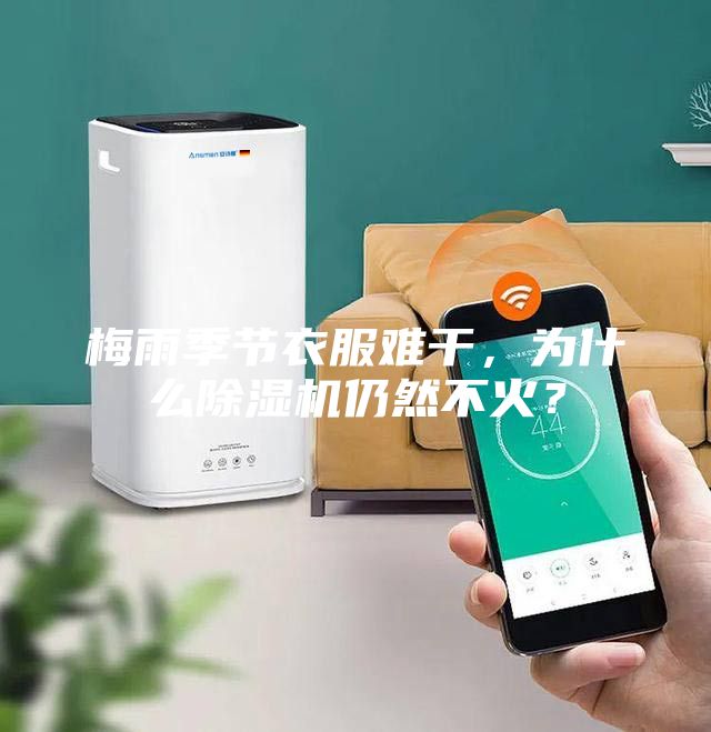梅雨季节衣服难干，为什么除湿机仍然不火？