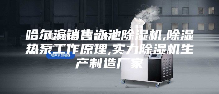 哈尔滨销售泳池除湿机,除湿热泵工作原理,实力除湿机生产制造厂家
