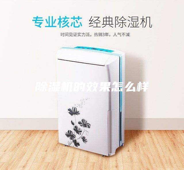 除湿机的效果怎么样