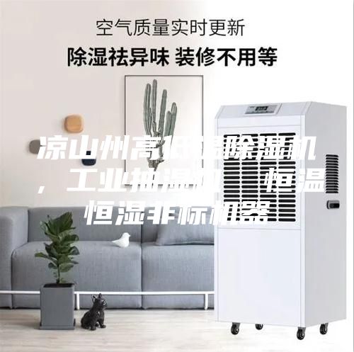 凉山州高低温除湿机，工业抽湿机  恒温恒湿非标机器