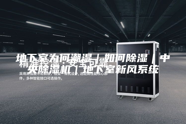 地下室为何潮湿｜如何除湿｜中央除湿机｜地下室新风系统