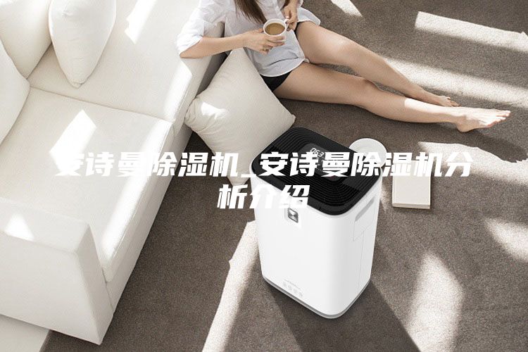 安诗曼除湿机_安诗曼除湿机分析介绍