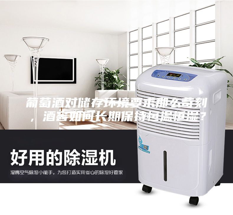 葡萄酒对储存环境要求那么苛刻，酒窖如何长期保持恒温恒湿？