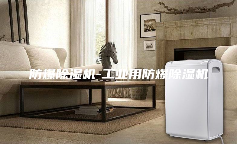 防爆除湿机-工业用防爆除湿机