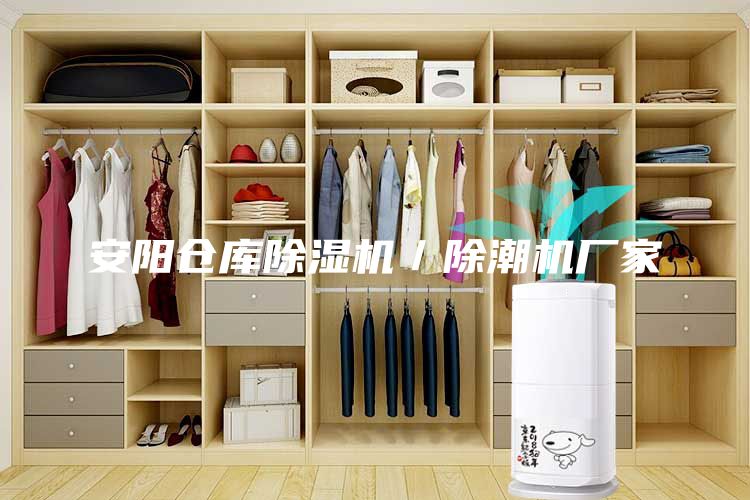 安阳仓库除湿机／除潮机厂家