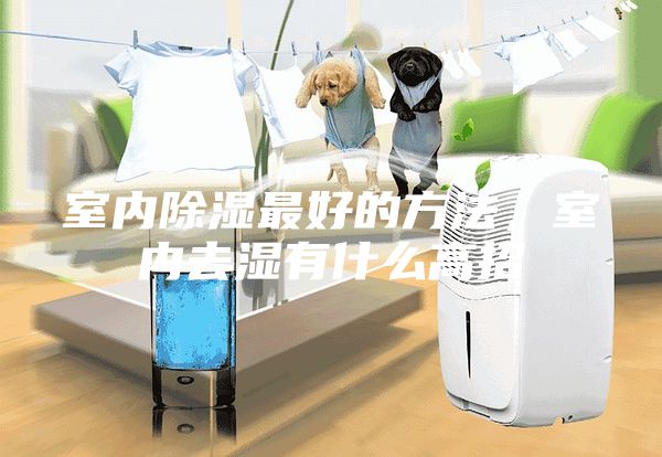 室内除湿最好的方法，室内去湿有什么高招