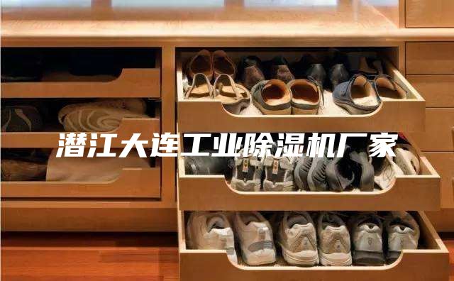 潜江大连工业除湿机厂家