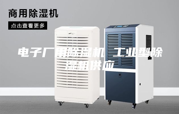 电子厂用除湿机 工业型除湿机供应