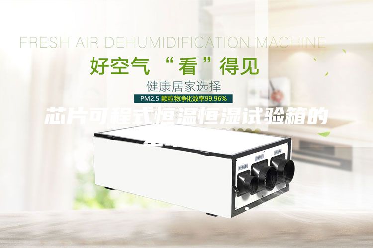 芯片可程式恒温恒湿试验箱的基本参数