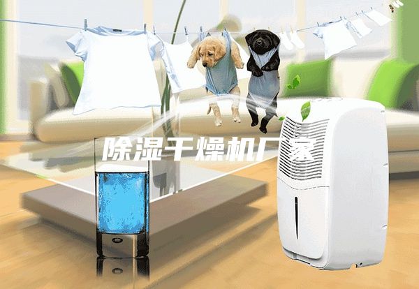 除湿干燥机厂家