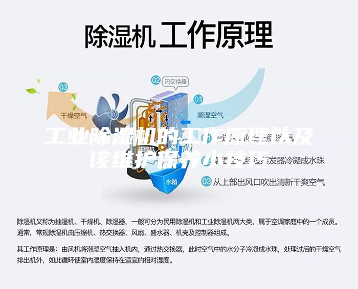 工业除湿机的工作原理以及该维护保养小技巧