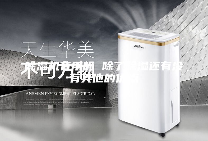 除湿机有用吗 除了除湿还有没有其他的优点