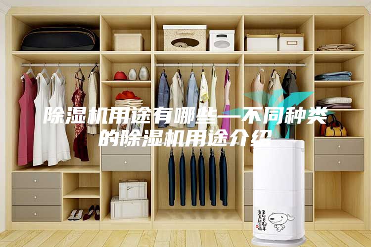 除湿机用途有哪些—不同种类的除湿机用途介绍