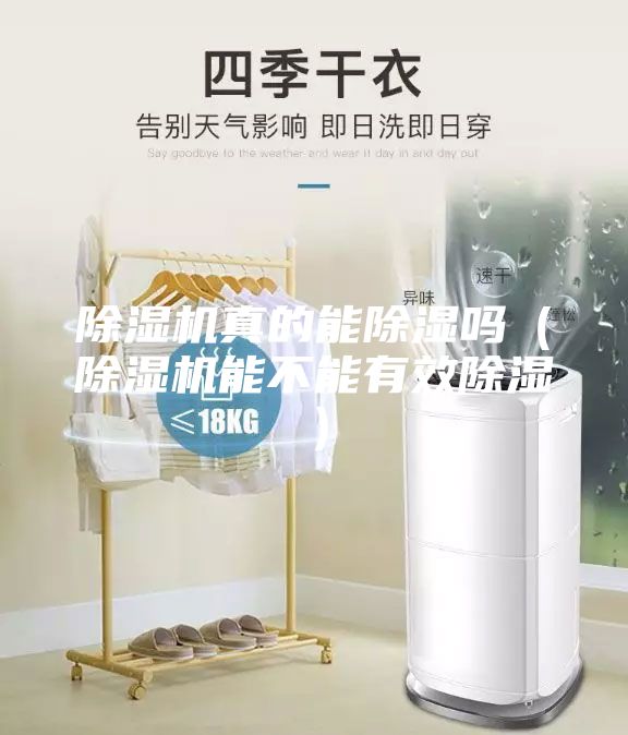 除湿机真的能除湿吗（除湿机能不能有效除湿）