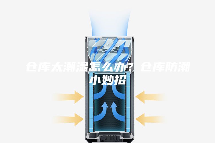 仓库太潮湿怎么办？仓库防潮小妙招