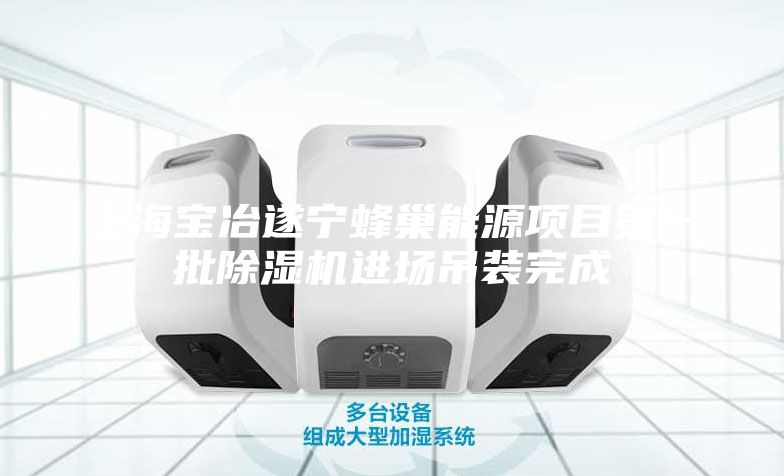 上海宝冶遂宁蜂巢能源项目第一批除湿机进场吊装完成