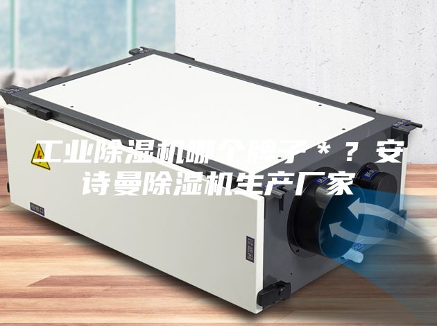 工业除湿机哪个牌子＊？安诗曼除湿机生产厂家