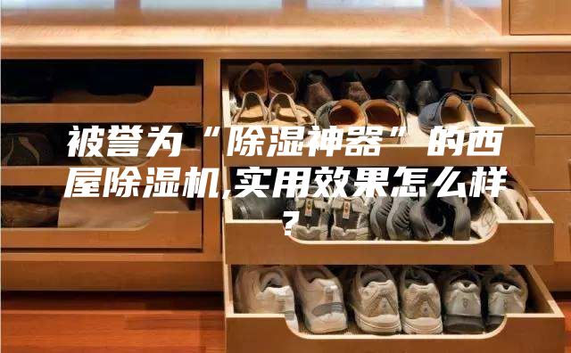 被誉为“除湿神器”的西屋除湿机,实用效果怎么样？