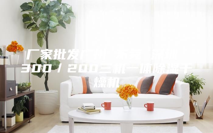 厂家批发广州 东莞 深圳 300／200三机一体除湿干燥机