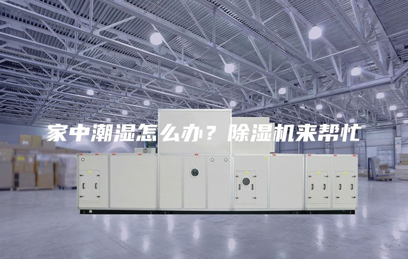 家中潮湿怎么办？除湿机来帮忙