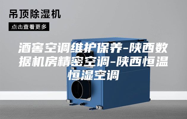 酒窖空调维护保养-陕西数据机房精密空调-陕西恒温恒湿空调