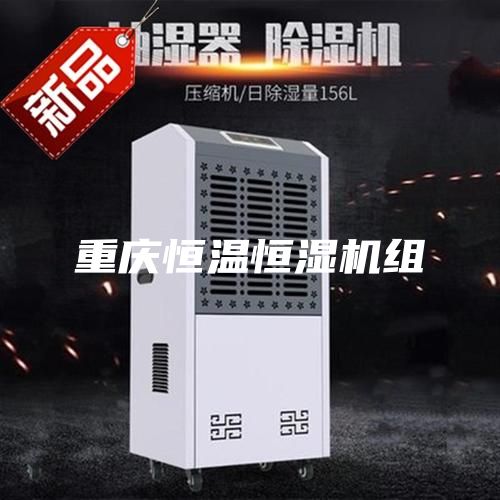 重庆恒温恒湿机组