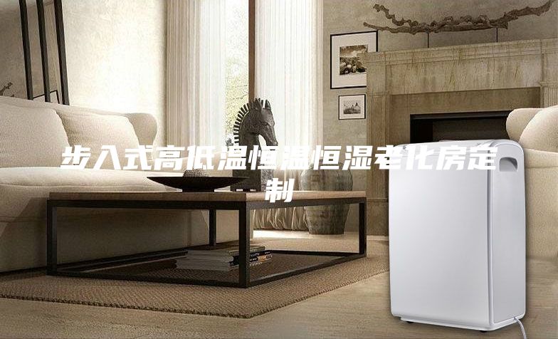 步入式高低温恒温恒湿老化房定制