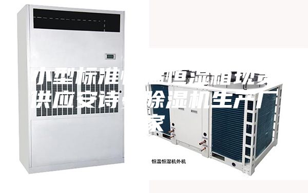 小型标准恒温恒湿箱现货供应安诗曼除湿机生产厂家
