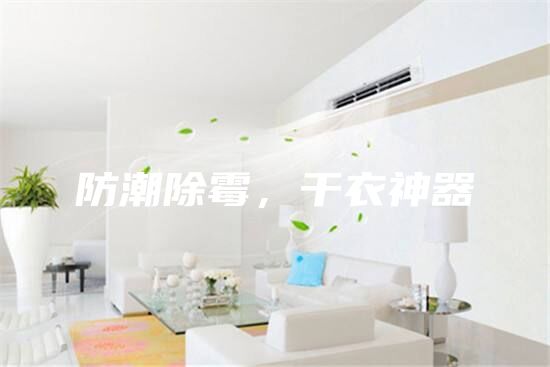 防潮除霉，干衣神器