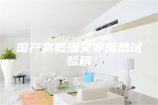 国产高低温交变湿热试验箱