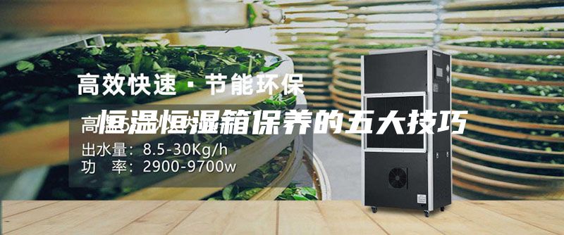 恒温恒湿箱保养的五大技巧
