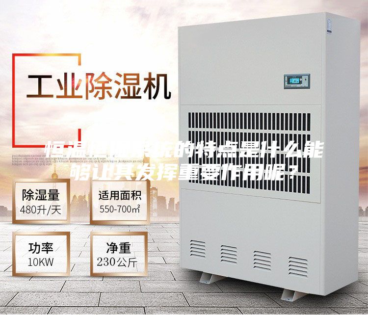 恒温恒湿系统的特点是什么能够让其发挥重要作用呢？