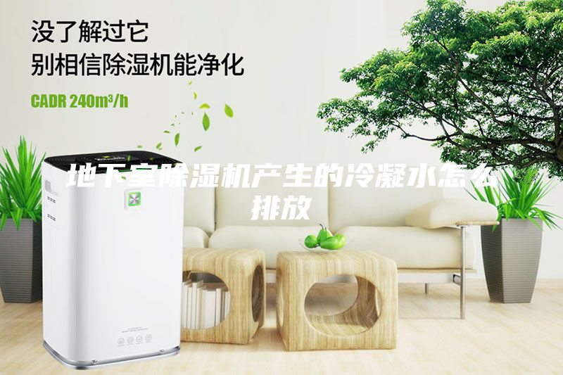 地下室除湿机产生的冷凝水怎么排放