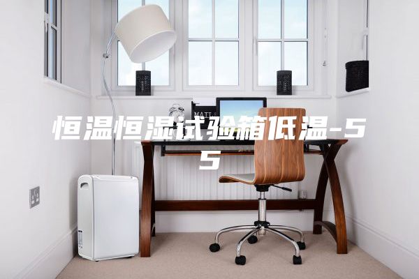 恒温恒湿试验箱低温-55℃